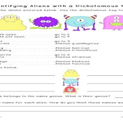 Alien dichotomous key answer key