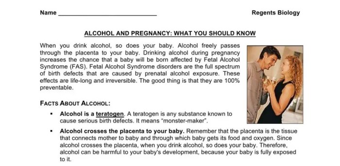 Lab development of a human fetus answer key