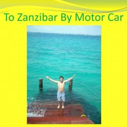 Zanzibar motor neuroanatomy cram flashcards nerve