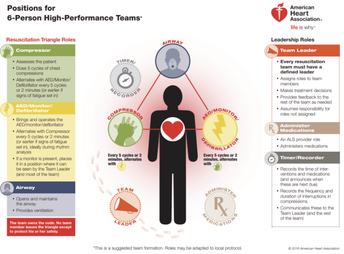 What are examples of effective team dynamics during cpr